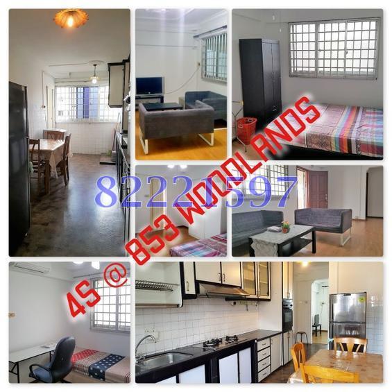 Woodlands Street 83 thumbnail photo